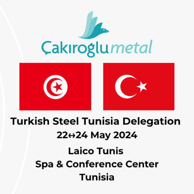 B2B meetings of Turkish steel exporters at Laico Tunis on 23 May 2024 during the Tunisia Sectoral Trade Delegation